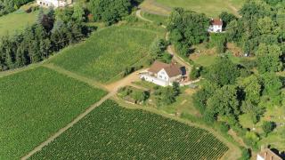 Le Mont Laurent - Buxy - 8