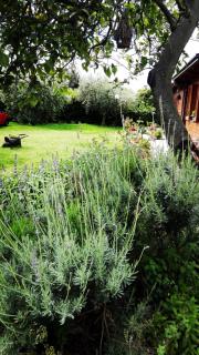 'O Chalet - Pozzuoli - 2