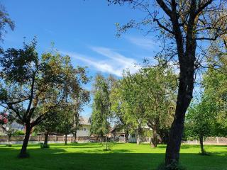 Hotel-Pension Wagnermigl - 1