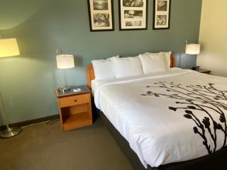 Sleep Inn & Suites Davenport - Quad Cities - 3