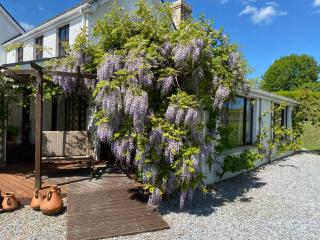 Jabajak Vineyard Restaurant & Rooms - Whitland - 1