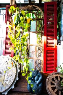 Jaspers Apartments - 4