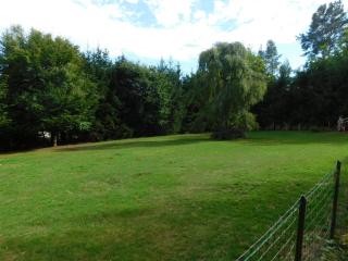 L'AMANDAURE - Saulcy-sur-Meurthe - 3