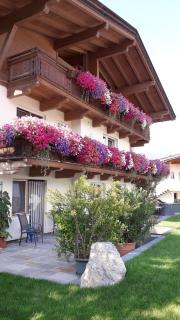 Appartements Alpenblick Söll - Söll - 7