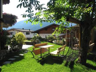 Appartements Alpenblick Söll - Söll - 5