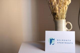 Belmonte Apartments - Palermo - 4