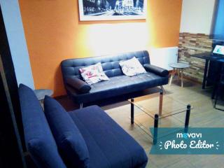 Z45 Loft con Wifi en el Madrid Centro - Madrid - 1
