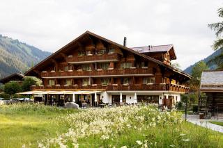Hotel Alpenland - Gstaad - 7