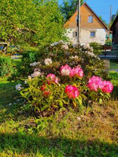 Locations Dupertuis Alsace - 9