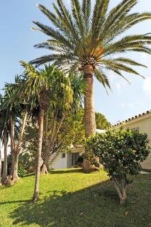 Casa Ancladero Room W big balcony and lovely view - Fuengirola - 5