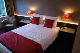Hotel De Ruwenberg Den Bosch - Sint Michielsgestel - s-Hertogenbosch - 9