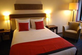 Hotel De Ruwenberg Den Bosch - Sint Michielsgestel - s-Hertogenbosch - 5