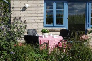 Schlei-Rose - Schaalby - 5