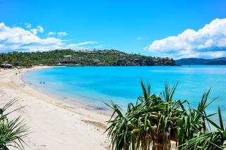 Superior Poinciana 011 on Hamilton Island - Hamilton Island - 2