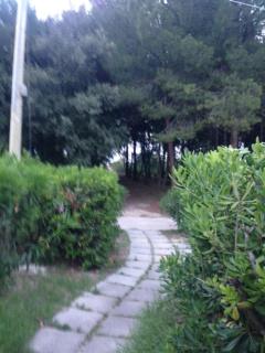 Marina di VASTO - 1