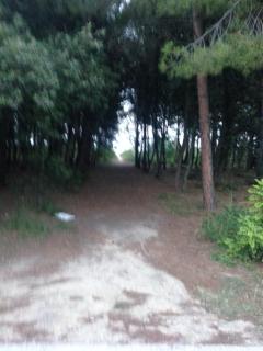 Marina di VASTO - 2