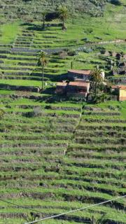 Casas Rurales Los Manantiales - El Cercado - 5