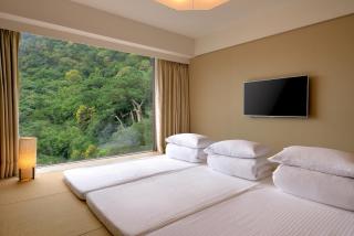 Chihpen Century Hotel - Wenquan - 1
