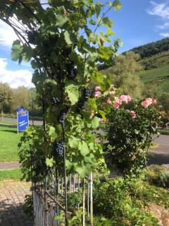 Haus Nummer 1, Moselblick - 7