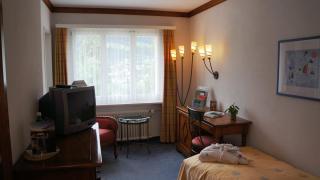 Hotel Adula - Flims - 9