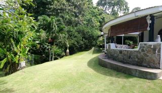 The Reef Palm - Anse aux Pins - 8