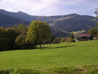 Schrandl Apartment Penningberg - Hopfgarten im Brixental - 1