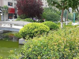 Lavande Hotel Yishui Wande Plaza - Yishui - 2