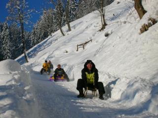 Palfnerhof Appartements - 1