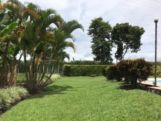 Finca VillaDiana- Montenegro Pueblotapao - Pueblo Tapao - 5