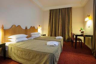 Hotel Termas da Curia - Curia - 2