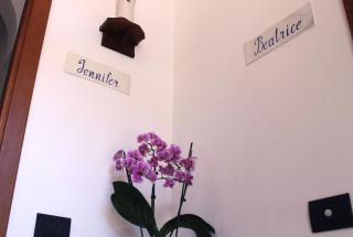 Casa Paloma - 3