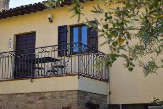 Cardinal Girolamo - 7