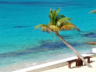 The Horny Toad Guest House - Simpson Bay - 0