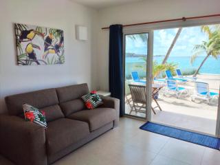 The Horny Toad Guest House - Simpson Bay - 7