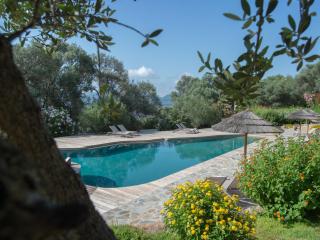 Residence Piatana - Olmeto - 8