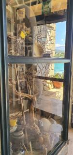 Halikoura Beach Apartments - 9