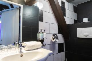 Tulip of Amsterdam - 2