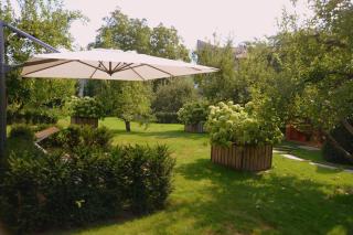 Goldene Rose - 7