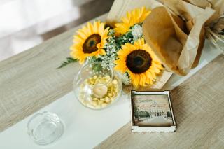 Sunflower - Sombor - 0