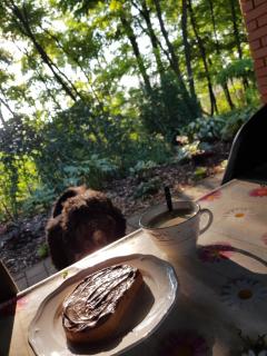 Guest House Vidravar - Tabdi - 6