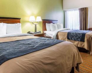 Comfort Inn Conyers - 9