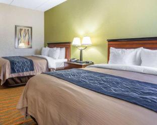 Comfort Inn Conyers - 8
