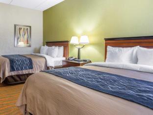 Comfort Inn Conyers - 5
