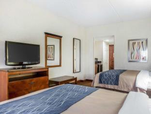 Comfort Inn Conyers - Conyers - 4