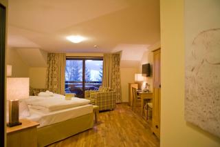 Hotel Gut Schmelmerhof - Sankt Englmar - 9
