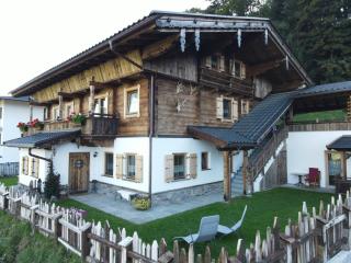 Haus Wildschütz - Hippach - 5