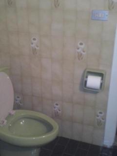 Tiger House Guest House - Bischarri - 6