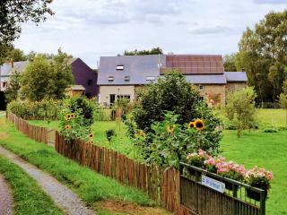 A La Maison d'Ode - Sainte-Ode - 3