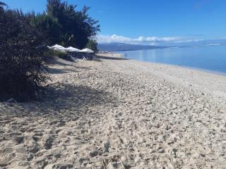 Le Jardin de Corail, Magnifique F1 tout juste rénové, à 2 pas du lagon de la Saline les Bains - 1
