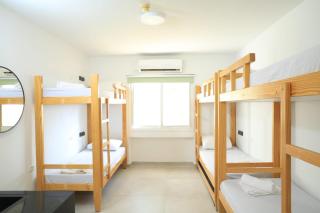 SPNI Eilat Field School - Eilat - 3